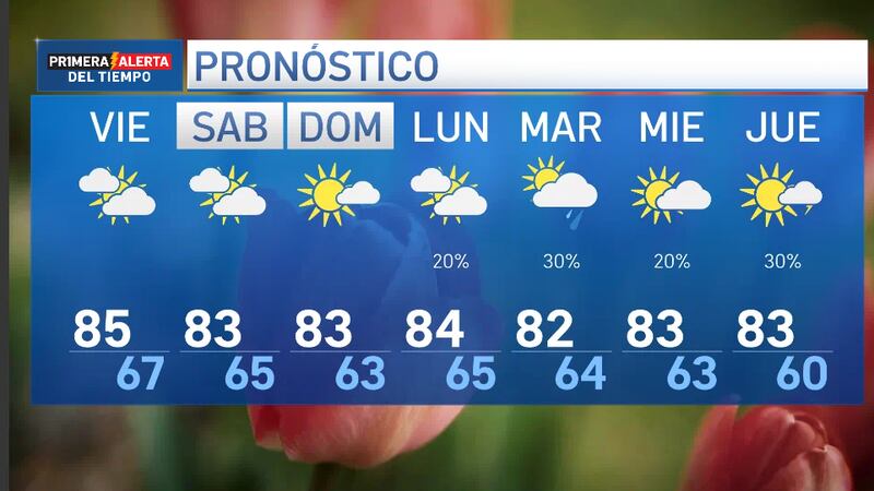 El polen continúa siendo el protagonista en nuestra región