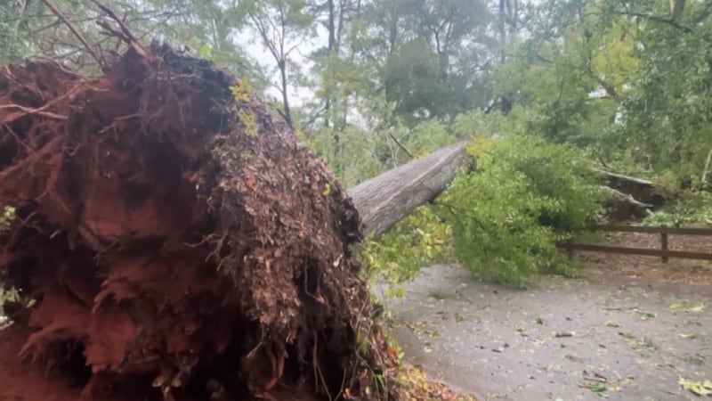 Three days after Hurricane Isaias made landfall, state officials are urging homeowners to be...