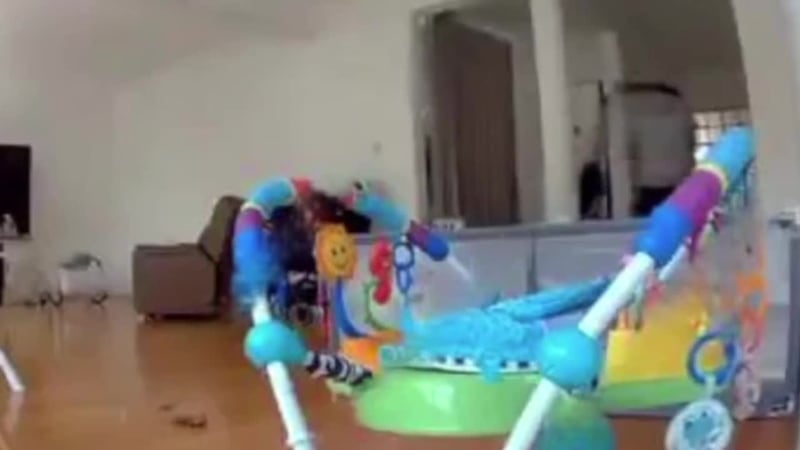 Conmoción en México: suegra presuntamente mata a exreina de belleza